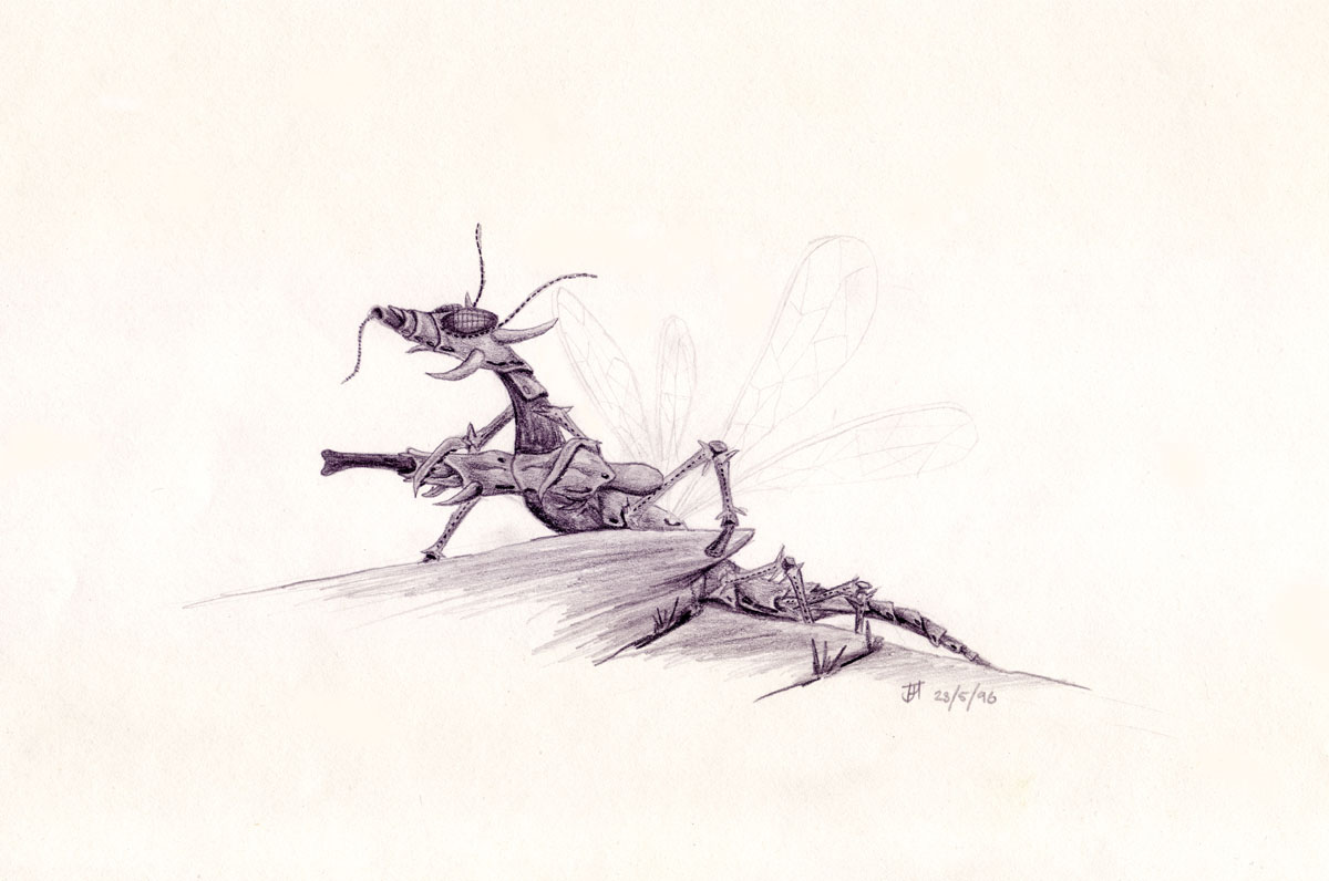 Drawing of an insectoid alien warrior