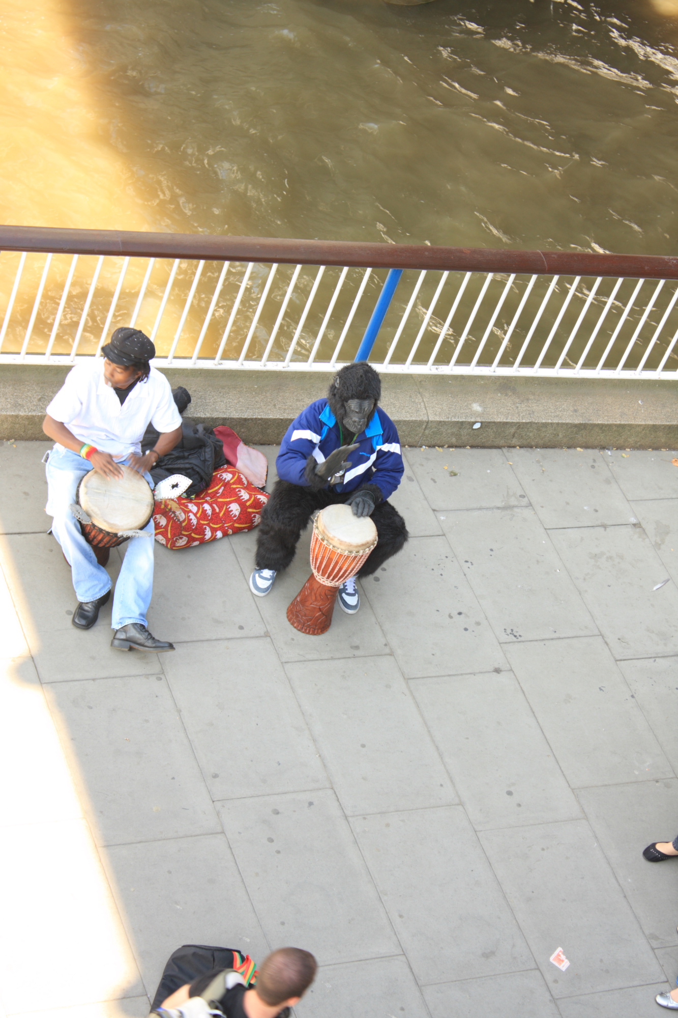 Drumming Gorilla
