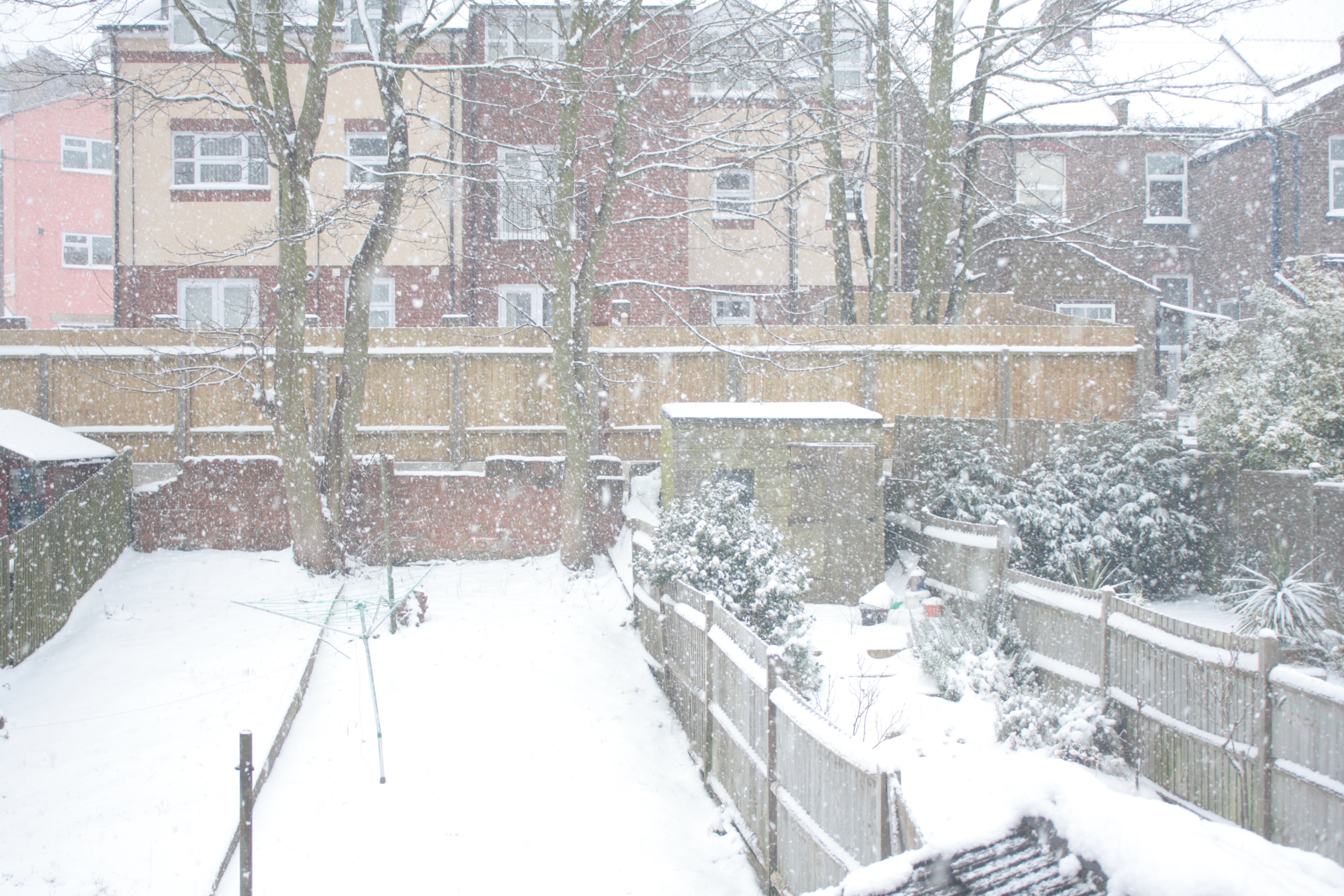 Luton gets hit hard by the snow.