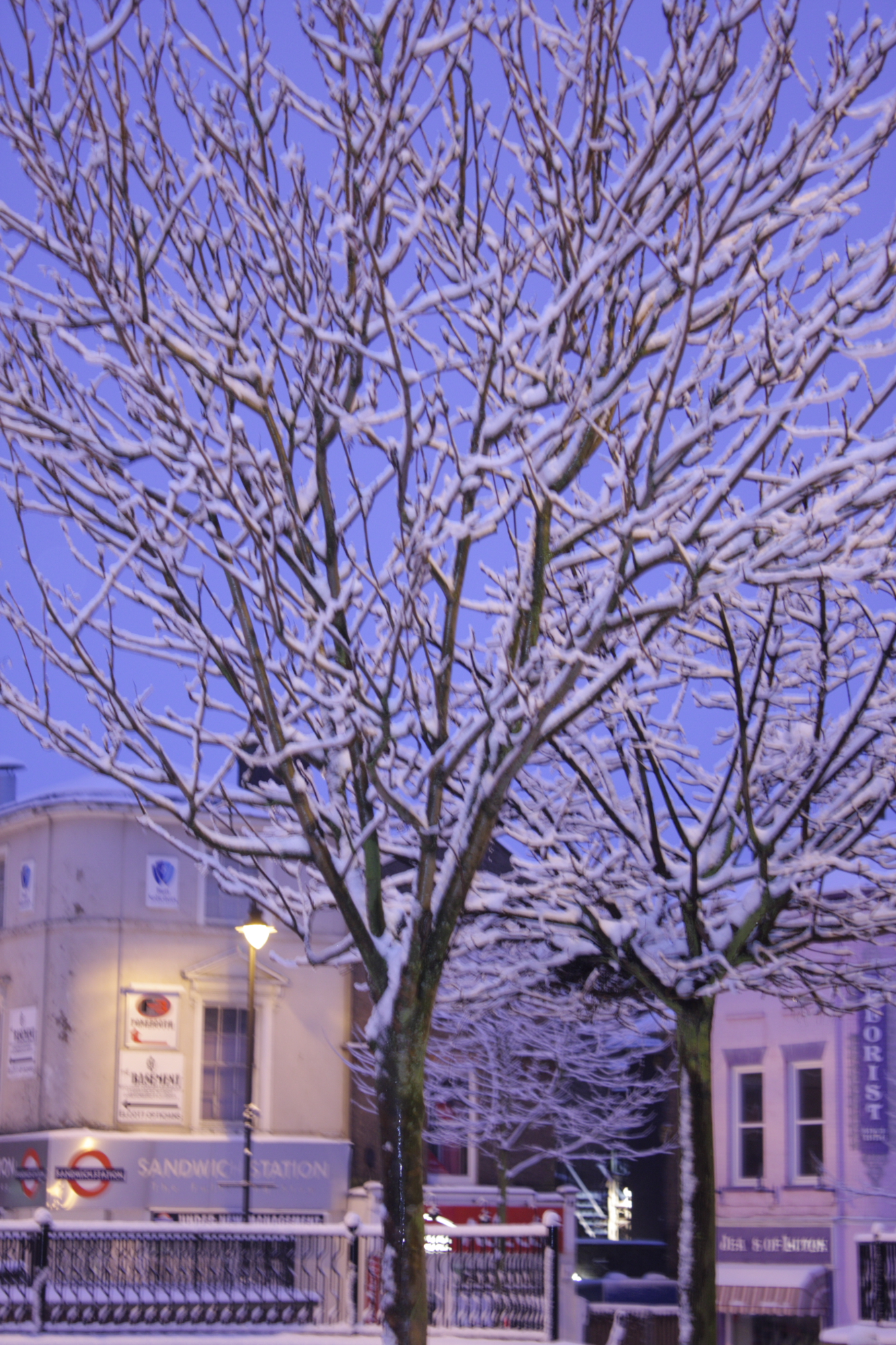 More snow